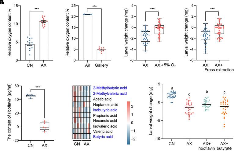 https://cdn.ncbi.nlm.nih.gov/pmc/blobs/f0e5/11331112/39358c815439/pnas.2410889121fig02.jpg