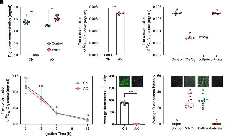 https://cdn.ncbi.nlm.nih.gov/pmc/blobs/f0e5/11331112/ff1a495d0201/pnas.2410889121fig03.jpg