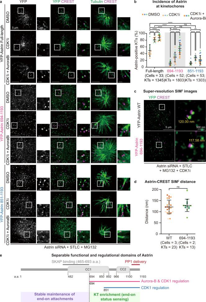 https://cdn.ncbi.nlm.nih.gov/pmc/blobs/f0e6/8636589/2ef1da32b6d4/41467_2021_27131_Fig3_HTML.jpg