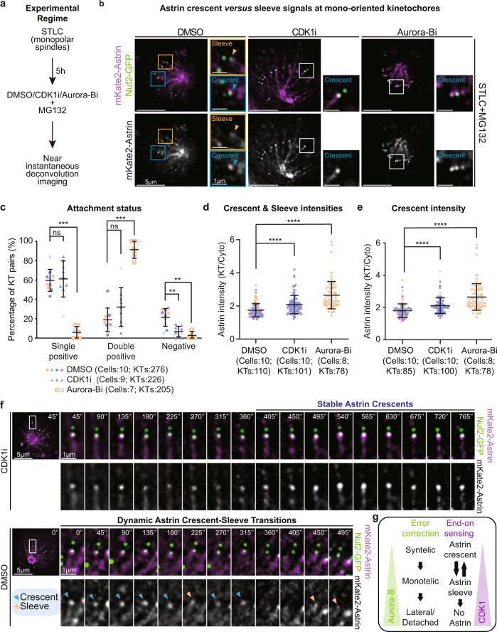 https://cdn.ncbi.nlm.nih.gov/pmc/blobs/f0e6/8636589/2f290ec294d3/41467_2021_27131_Fig1_HTML.jpg