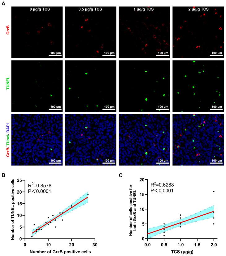 https://cdn.ncbi.nlm.nih.gov/pmc/blobs/f0e6/9864620/1555a09a9bf9/ijms-24-01416-g007.jpg