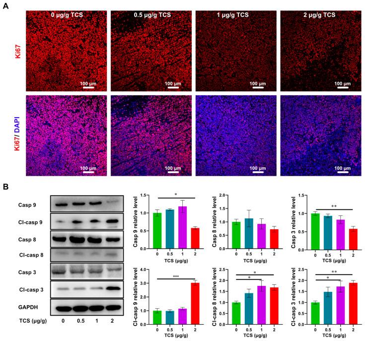 https://cdn.ncbi.nlm.nih.gov/pmc/blobs/f0e6/9864620/6cbb3d164121/ijms-24-01416-g004.jpg