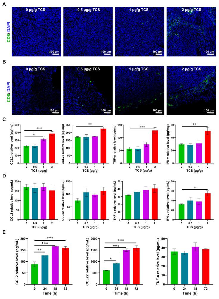 https://cdn.ncbi.nlm.nih.gov/pmc/blobs/f0e6/9864620/d1b1a376de1e/ijms-24-01416-g005.jpg