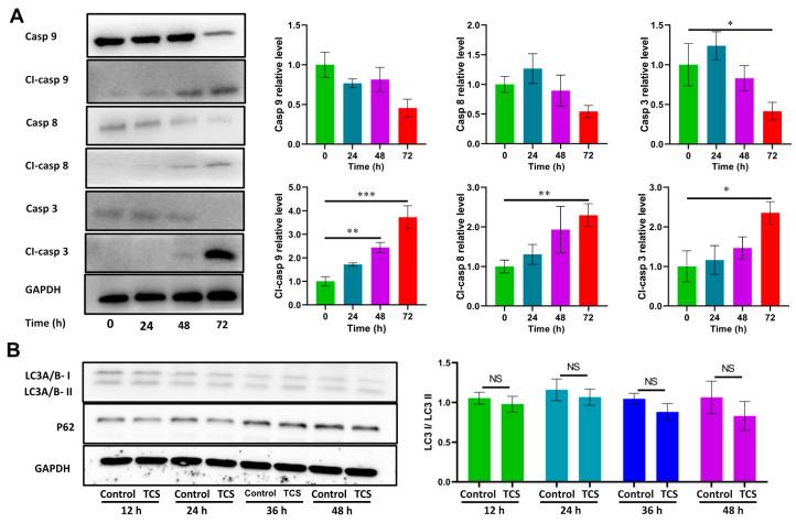 https://cdn.ncbi.nlm.nih.gov/pmc/blobs/f0e6/9864620/f64ca729373f/ijms-24-01416-g002.jpg