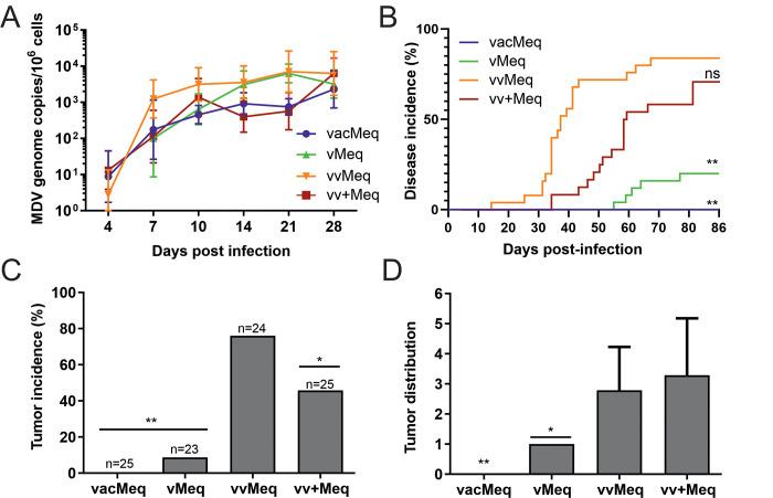 https://cdn.ncbi.nlm.nih.gov/pmc/blobs/f0e7/7758048/df8241d1b0ae/ppat.1009104.g002.jpg
