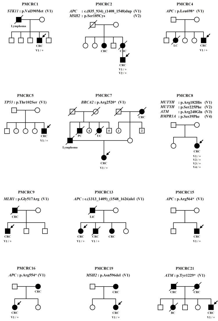 https://cdn.ncbi.nlm.nih.gov/pmc/blobs/f0e8/10267666/d2ed0ab9b1b2/cureus-0015-00000039067-i01.jpg