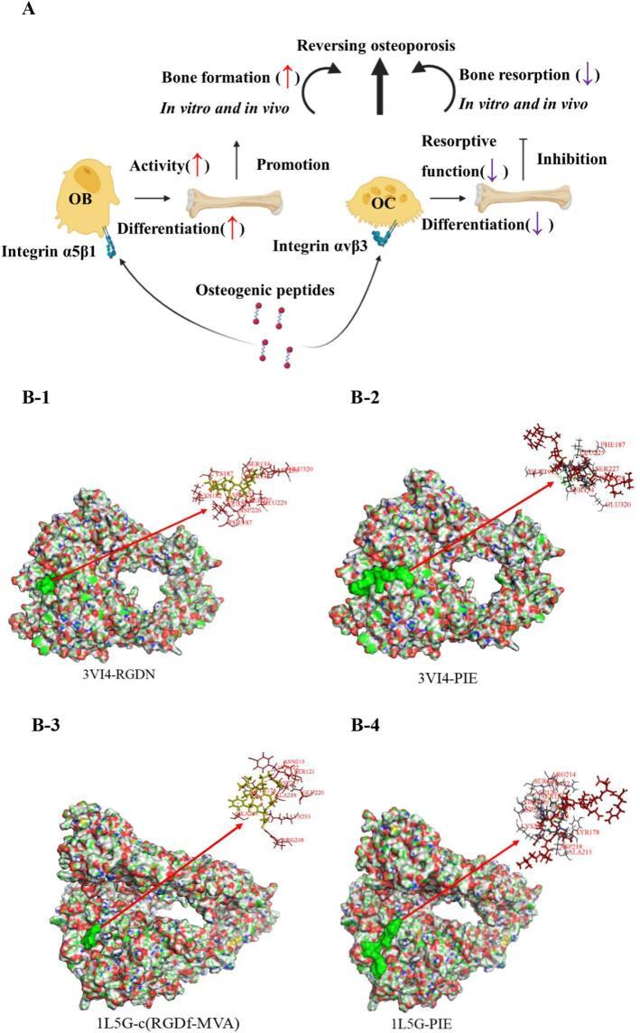 https://cdn.ncbi.nlm.nih.gov/pmc/blobs/f0e9/11200288/d772051ee3f7/gr3.jpg