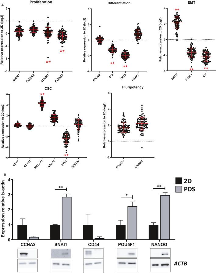 https://cdn.ncbi.nlm.nih.gov/pmc/blobs/f0e9/7897946/c2c07522cbc0/CAM4-10-867-g004.jpg