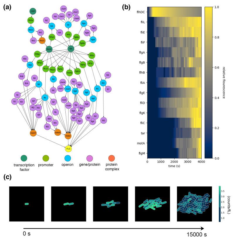 https://cdn.ncbi.nlm.nih.gov/pmc/blobs/f0ea/7597207/758390af933a/entropy-22-01101-g006.jpg