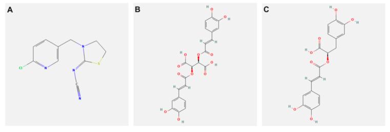 https://cdn.ncbi.nlm.nih.gov/pmc/blobs/f0ea/8614723/83df3cfdb7fc/biology-10-01100-g001.jpg