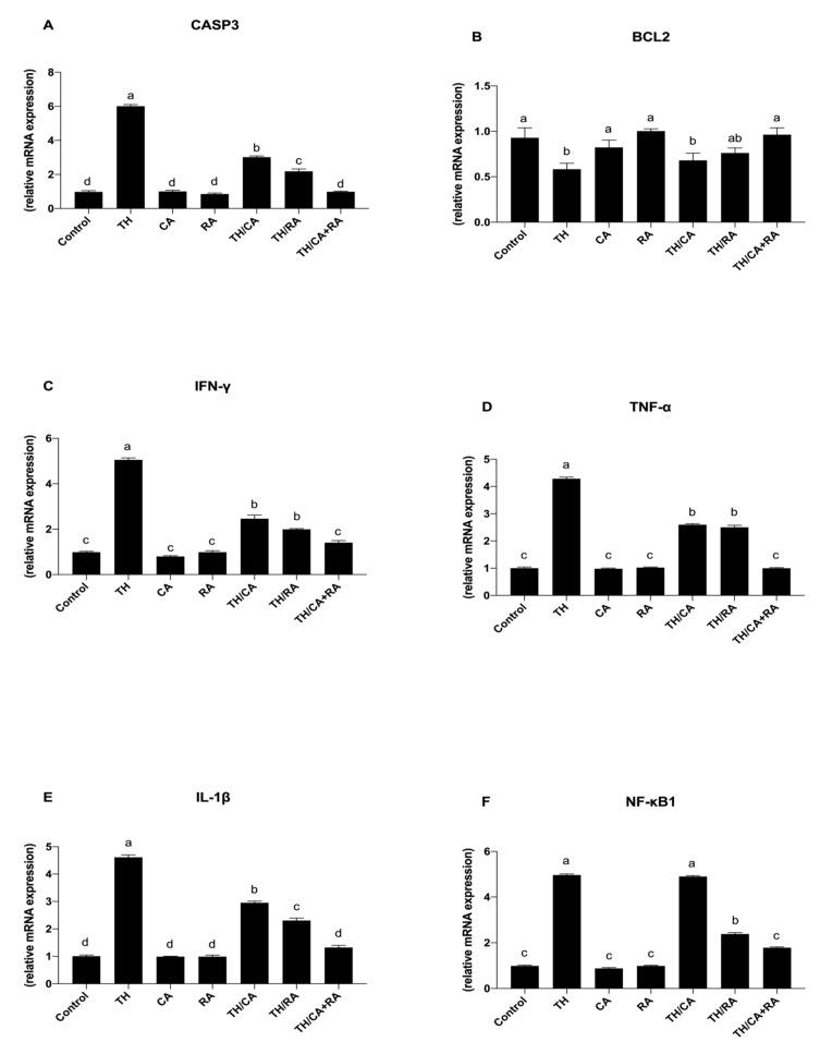 https://cdn.ncbi.nlm.nih.gov/pmc/blobs/f0ea/8614723/dc4e46aac486/biology-10-01100-g006.jpg