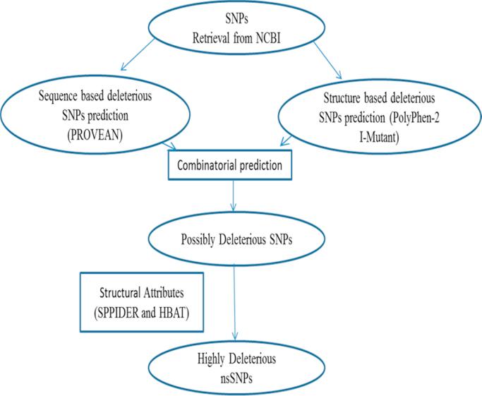 https://cdn.ncbi.nlm.nih.gov/pmc/blobs/f0eb/5637233/91667fc42f66/gr1.jpg
