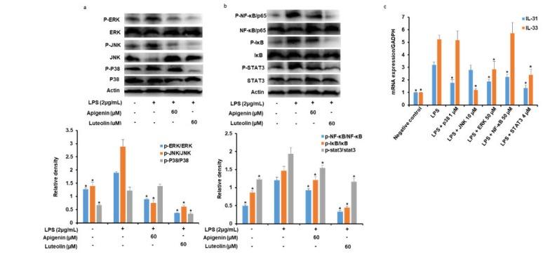 https://cdn.ncbi.nlm.nih.gov/pmc/blobs/f0ed/7146493/a98dc65f8468/nutrients-12-00811-g005.jpg