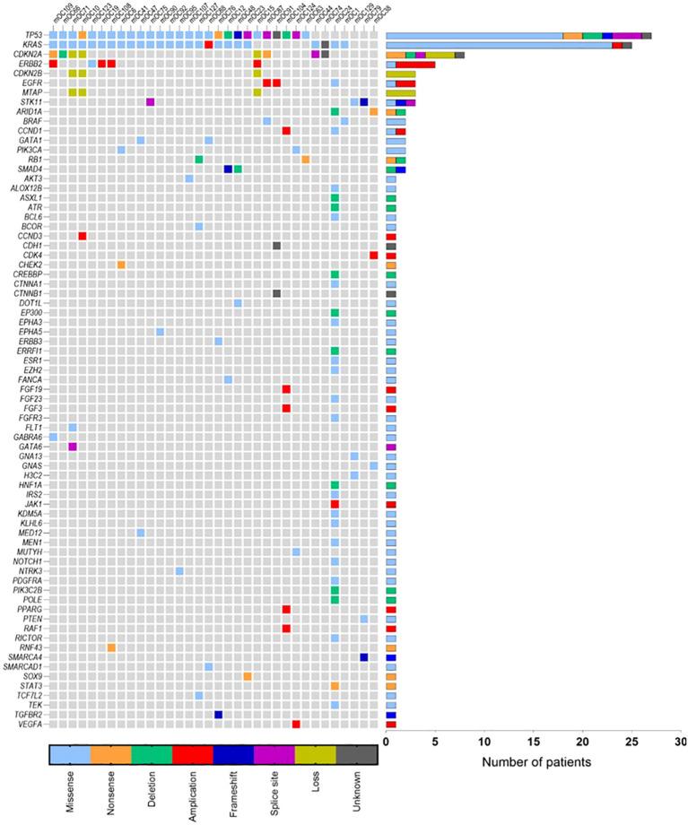https://cdn.ncbi.nlm.nih.gov/pmc/blobs/f0ee/12390820/db222ed211e1/fonc-15-1573801-g001.jpg