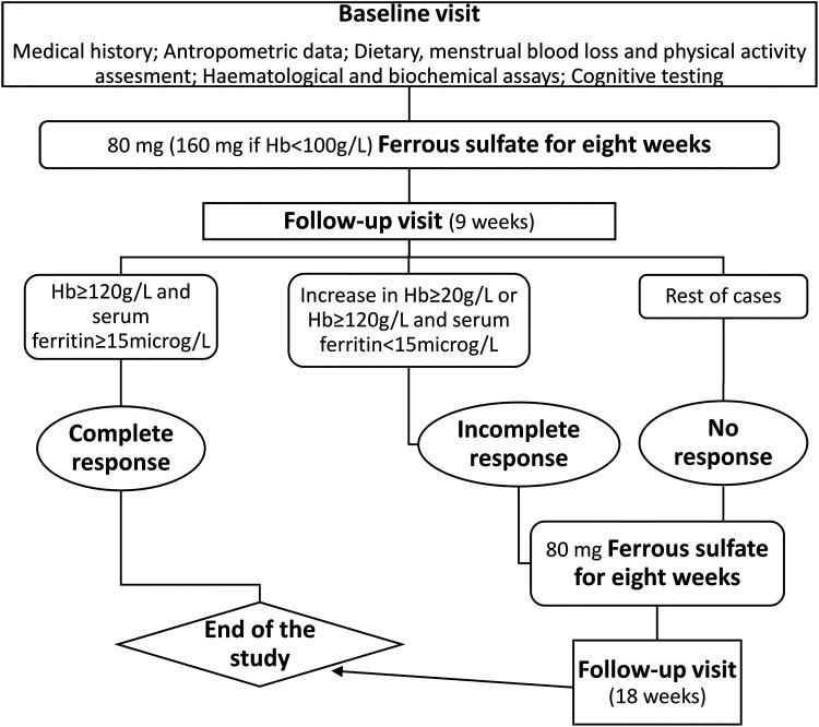 https://cdn.ncbi.nlm.nih.gov/pmc/blobs/f0ee/7784796/caeb30a00db7/whr.2019.0011_figure1.jpg