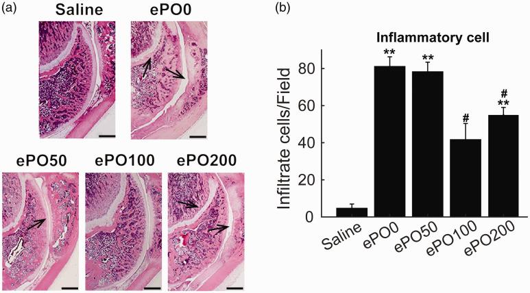 https://cdn.ncbi.nlm.nih.gov/pmc/blobs/f0ef/8054150/954f74872a69/10.1177_1753425921994190-fig2.jpg