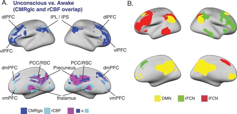 https://cdn.ncbi.nlm.nih.gov/pmc/blobs/f0f2/4280551/5ab871829327/elife04499fs002.jpg