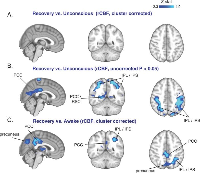 https://cdn.ncbi.nlm.nih.gov/pmc/blobs/f0f2/4280551/9b54d0770e93/elife04499f005.jpg