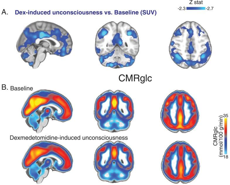 https://cdn.ncbi.nlm.nih.gov/pmc/blobs/f0f2/4280551/f7b2b0e69bf0/elife04499fs001.jpg