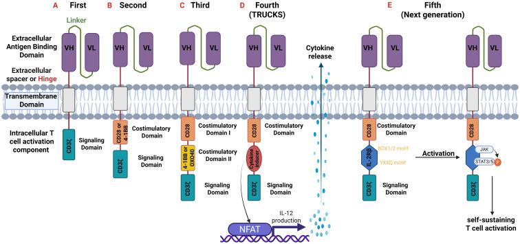 https://cdn.ncbi.nlm.nih.gov/pmc/blobs/f0f3/12313632/d412c5270cf6/fimmu-16-1604174-g003.jpg