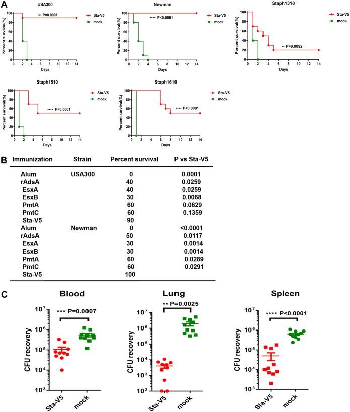 https://cdn.ncbi.nlm.nih.gov/pmc/blobs/f0f3/6731528/5cf0b6e0ab85/mSphere.00362-19-f0002.jpg