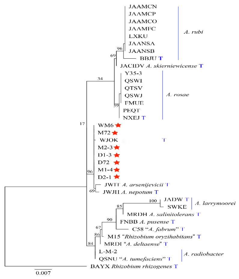 https://cdn.ncbi.nlm.nih.gov/pmc/blobs/f0f3/8745258/863692888aa2/ijms-23-00207-g005.jpg