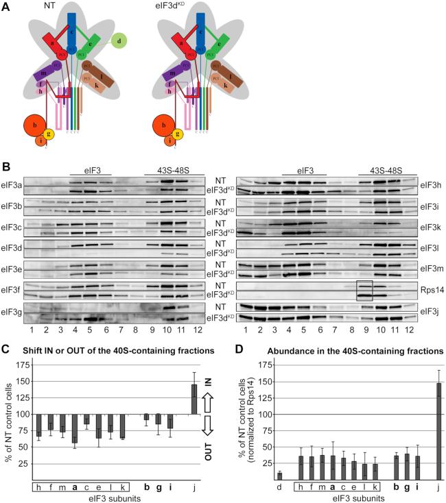 https://cdn.ncbi.nlm.nih.gov/pmc/blobs/f0f5/7039009/941252107292/gkz1185fig2.jpg