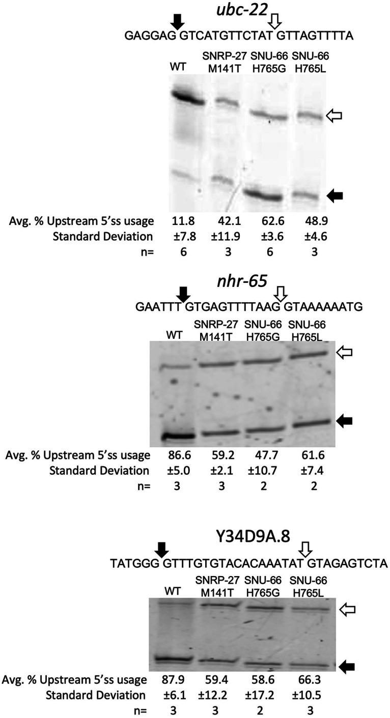 https://cdn.ncbi.nlm.nih.gov/pmc/blobs/f0f7/11098459/a28948fefc03/695f04.jpg