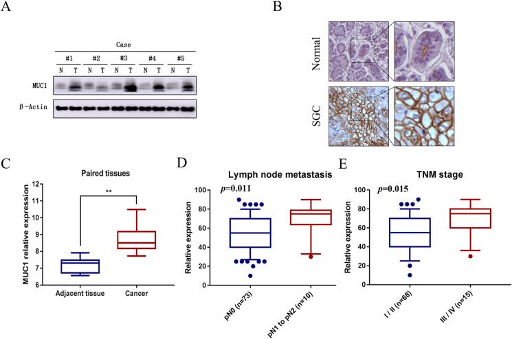 https://cdn.ncbi.nlm.nih.gov/pmc/blobs/f0fd/10547961/0afe9cfcf194/gr1.jpg