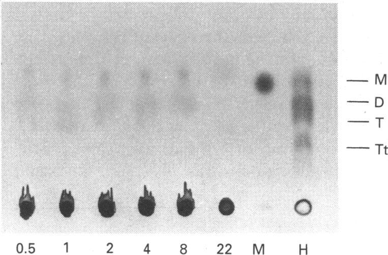 https://cdn.ncbi.nlm.nih.gov/pmc/blobs/f0fe/1130740/1bbefb0811f7/biochemj00142-0087-b.jpg