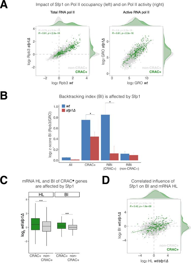 https://cdn.ncbi.nlm.nih.gov/pmc/blobs/f0fe/11446548/3e3002ec5320/elife-90766-fig6.jpg