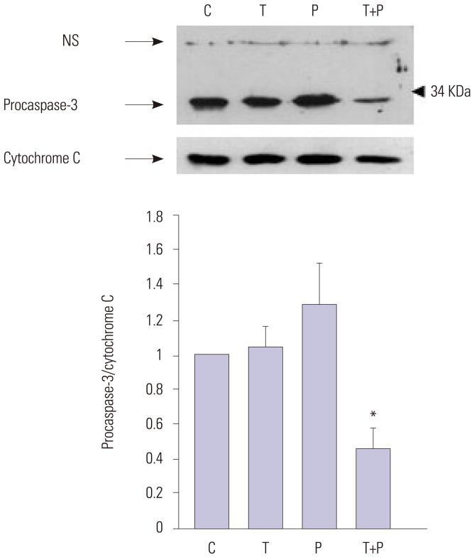 https://cdn.ncbi.nlm.nih.gov/pmc/blobs/f0fe/5011284/144fed4420f0/ymj-57-1494-g005.jpg