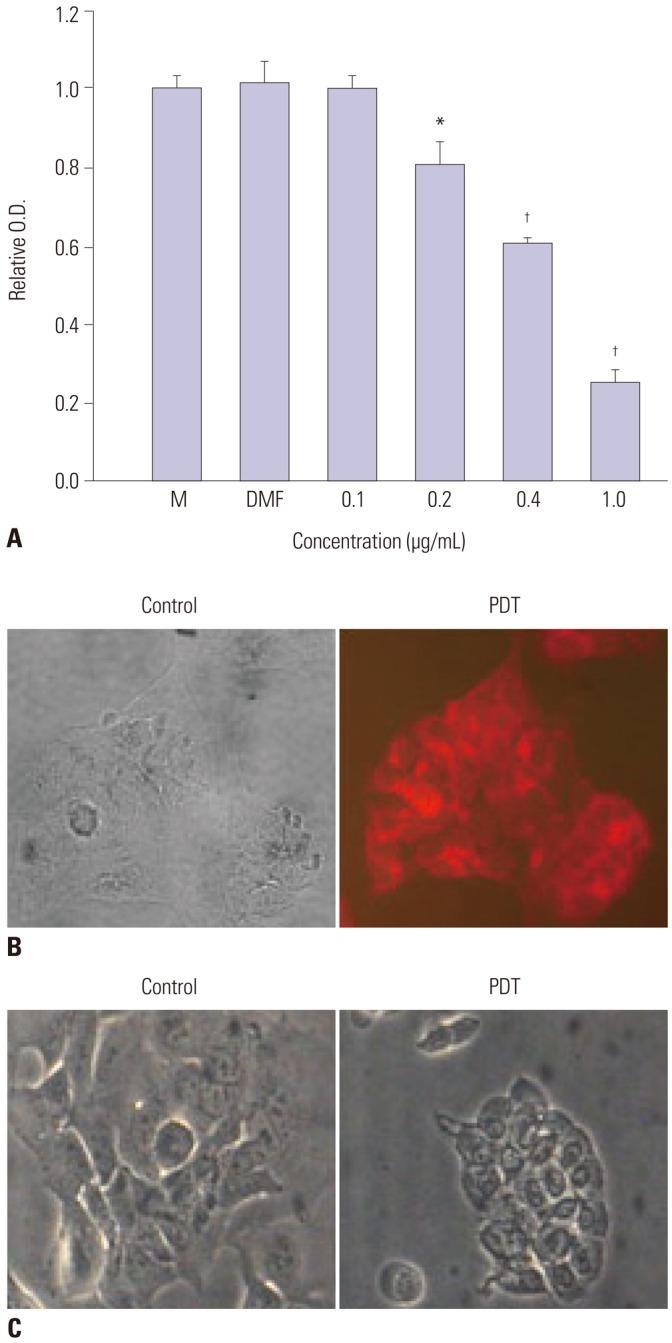 https://cdn.ncbi.nlm.nih.gov/pmc/blobs/f0fe/5011284/5f864cc72e8c/ymj-57-1494-g002.jpg