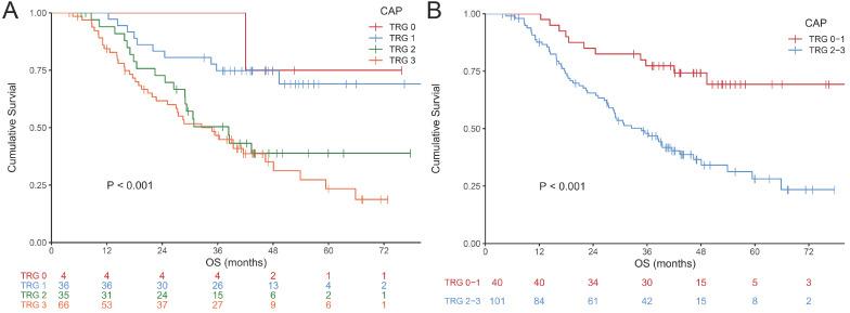 https://cdn.ncbi.nlm.nih.gov/pmc/blobs/f0fe/8489128/b36c02b62f79/jcav12p6465g002.jpg