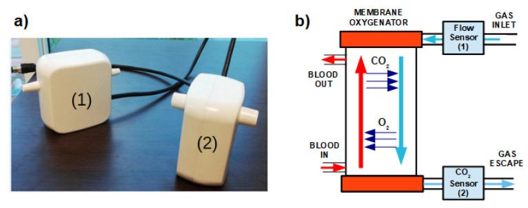 https://cdn.ncbi.nlm.nih.gov/pmc/blobs/f100/7374331/9b5451246701/sensors-20-03613-g003.jpg