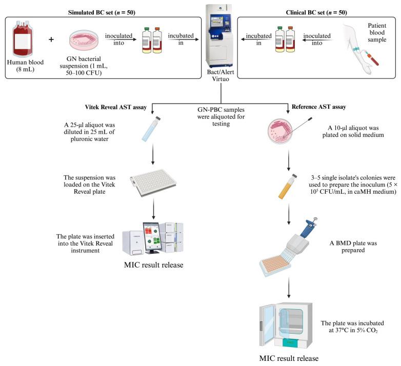 https://cdn.ncbi.nlm.nih.gov/pmc/blobs/f101/11590937/752eb6b16e36/antibiotics-13-01058-g002.jpg