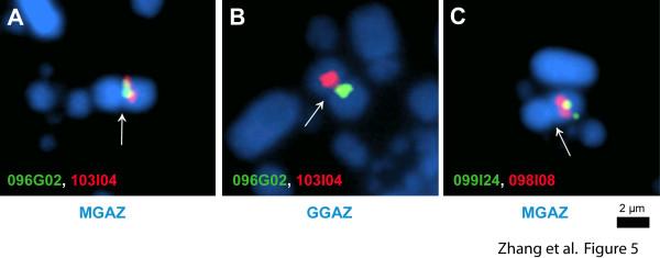 https://cdn.ncbi.nlm.nih.gov/pmc/blobs/f101/3189400/8cd11182934e/1471-2164-12-447-5.jpg