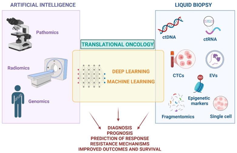 https://cdn.ncbi.nlm.nih.gov/pmc/blobs/f102/12248698/9d168e6c865b/cancers-17-02244-g002.jpg