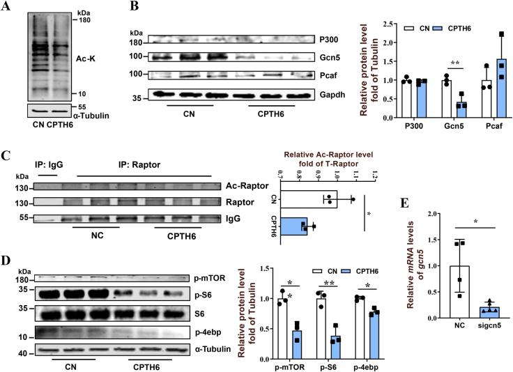 https://cdn.ncbi.nlm.nih.gov/pmc/blobs/f103/10540046/45cf602d4843/figs4.jpg