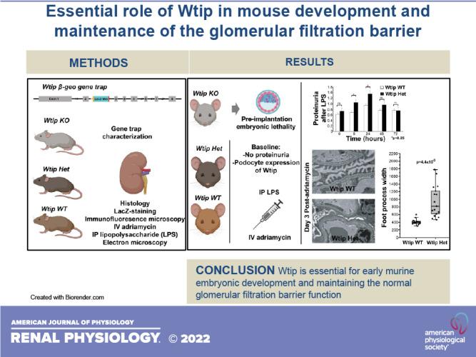 https://cdn.ncbi.nlm.nih.gov/pmc/blobs/f103/9394782/c2a2464eab88/f-00051-2022r01.jpg