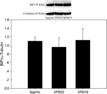 https://cdn.ncbi.nlm.nih.gov/pmc/blobs/f107/5681822/1c3f8cfb918a/12951_2017_318_Fig9_HTML.jpg