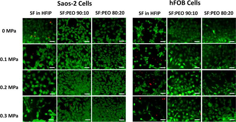 https://cdn.ncbi.nlm.nih.gov/pmc/blobs/f108/9096800/294d55eeff41/ab1c01555_0005.jpg