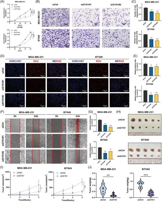 https://cdn.ncbi.nlm.nih.gov/pmc/blobs/f109/10901283/126c9759cfa3/MCO2-5-e502-g001.jpg