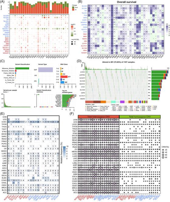 https://cdn.ncbi.nlm.nih.gov/pmc/blobs/f109/10901283/7aa129258dff/MCO2-5-e502-g005.jpg