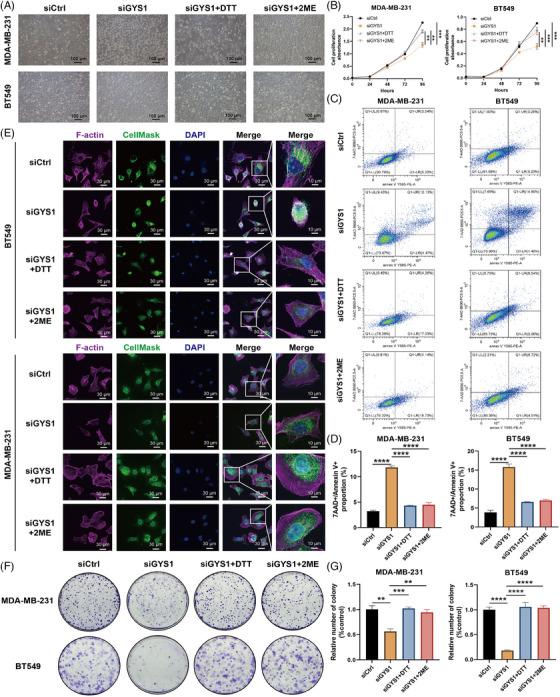 https://cdn.ncbi.nlm.nih.gov/pmc/blobs/f109/10901283/bde713009450/MCO2-5-e502-g002.jpg