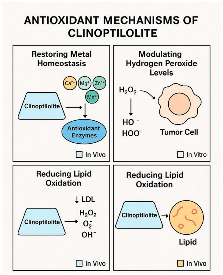 https://cdn.ncbi.nlm.nih.gov/pmc/blobs/f109/12295349/4b2e813594f4/ijms-26-06821-g002.jpg