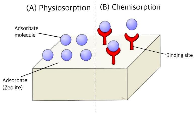 https://cdn.ncbi.nlm.nih.gov/pmc/blobs/f109/12295349/aacccbd9b7ad/ijms-26-06821-g001.jpg