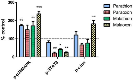 https://cdn.ncbi.nlm.nih.gov/pmc/blobs/f109/8748323/9537334ccfb8/204_2021_3186_Fig6_HTML.jpg