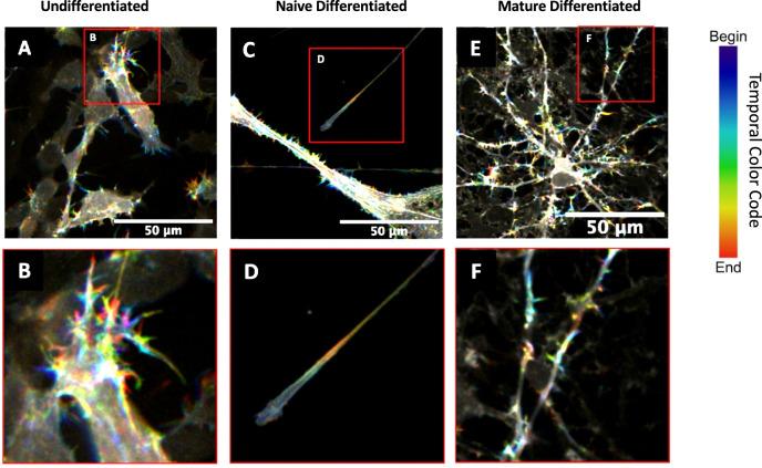 https://cdn.ncbi.nlm.nih.gov/pmc/blobs/f10b/12218117/8addd299325d/42003_2025_8342_Fig2_HTML.jpg