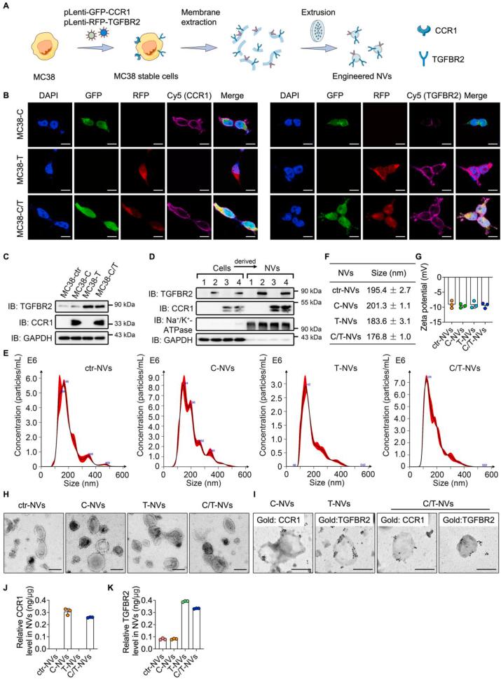 https://cdn.ncbi.nlm.nih.gov/pmc/blobs/f10d/11365421/64c0cb993ca6/gr3.jpg